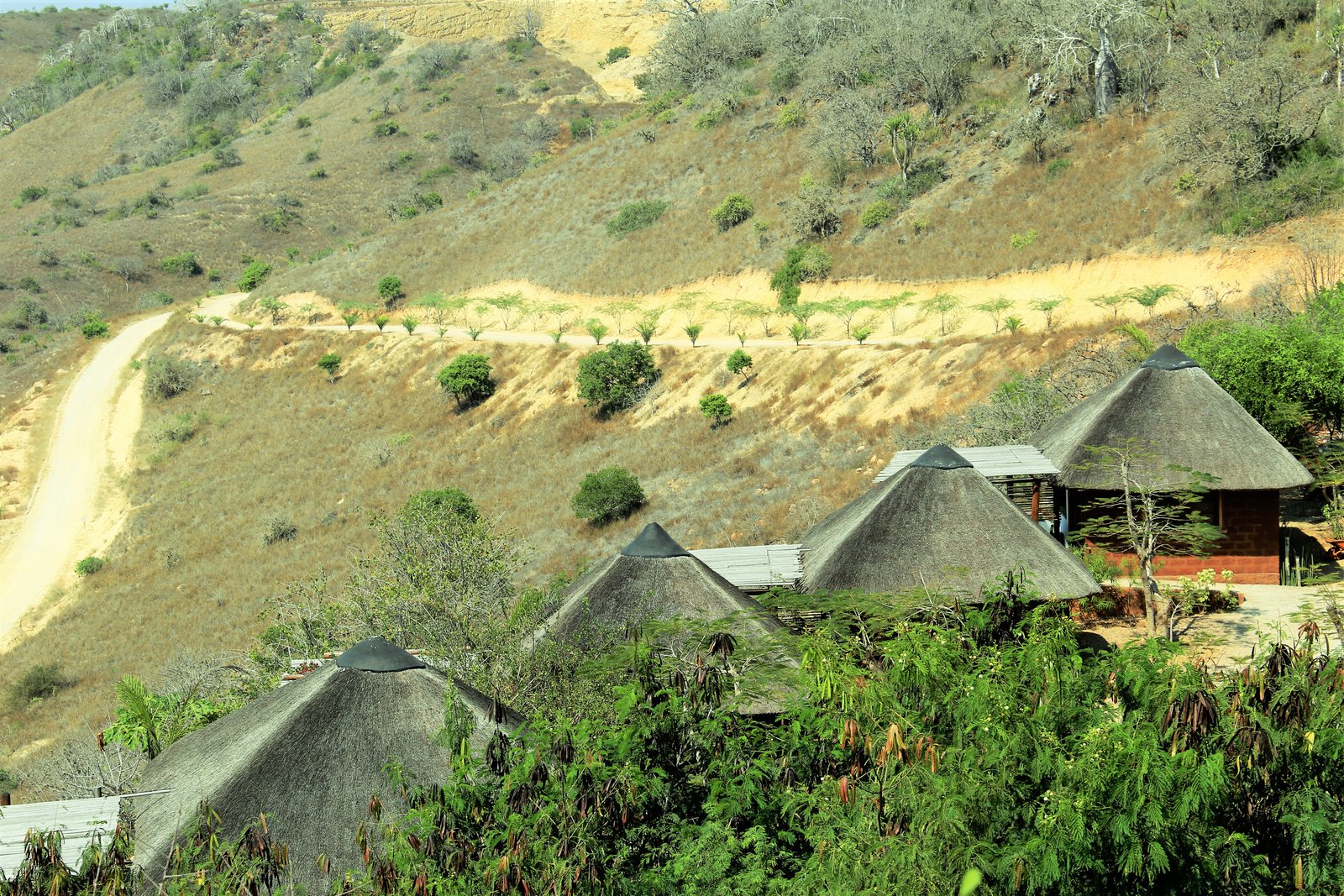 Eco Bungalow Adobe - Nº 2